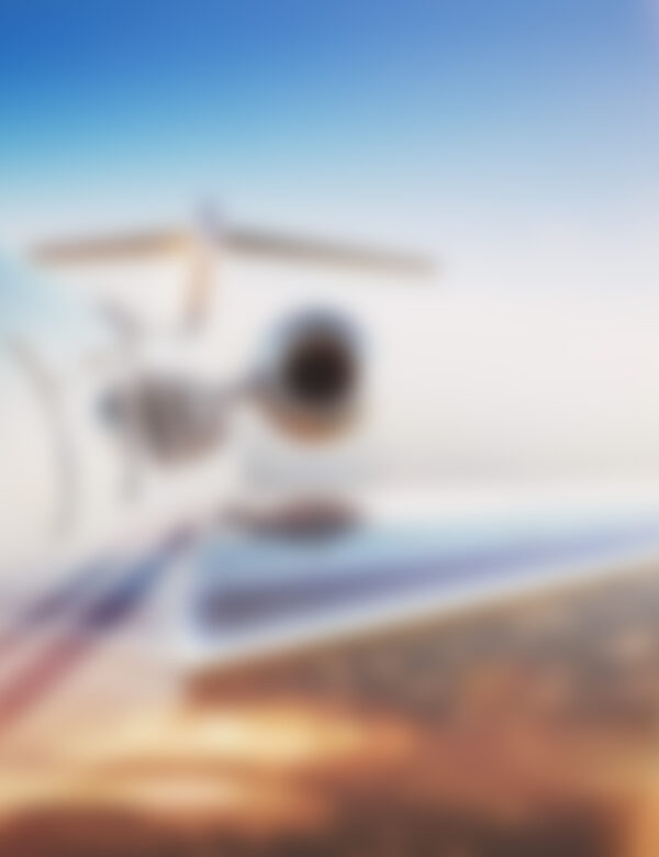 T-bone jowl beef ribs beef short ribs filet